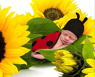 baby in sunflowers