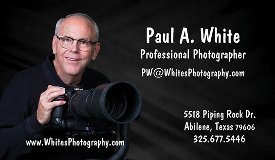 wp business cards 2016 front gotprint